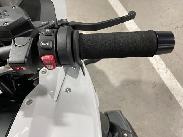 BMW Motorrad R 1250 RS  de ocasión 