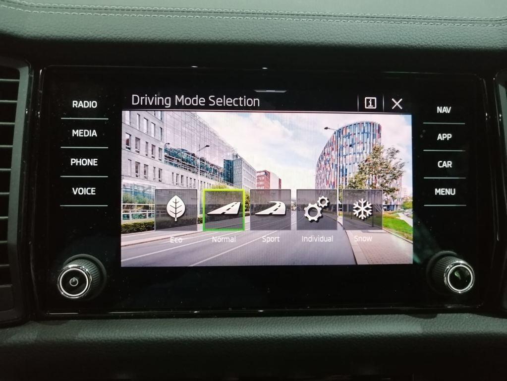 2.0 TDI Sportline 4x4 DSG 147 kW (200 CV)
