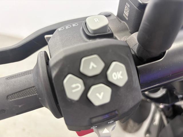BMW Motorrad CE 2  de ocasión 