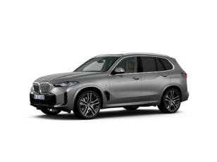Fotos de BMW X5 xDrive40i color Gris. Año 2024. 280KW(381CV). Gasolina. En concesionario Móvil Begar Alicante de Alicante