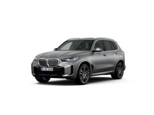 Fotos de BMW X5 xDrive40i color Gris. Año 2024. 280KW(381CV). Gasolina. En concesionario Móvil Begar Alicante de Alicante