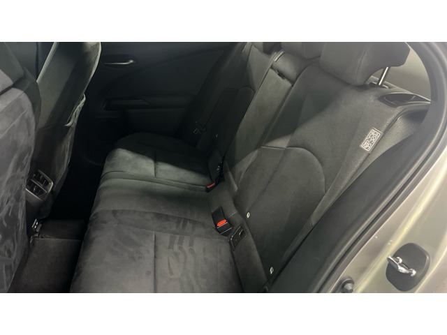 Lexus UX 250h Premium 135 kW (184 CV)