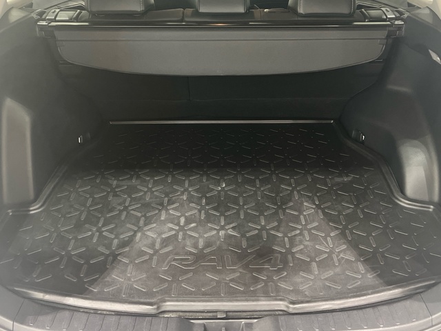 Toyota Rav4 2.5l hybrid Advance 160 kW (218 CV)