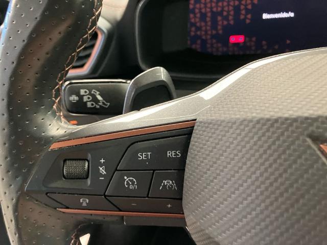 CUPRA Formentor 2.0 TDI 4Drive DSG 110 kW (150 CV)