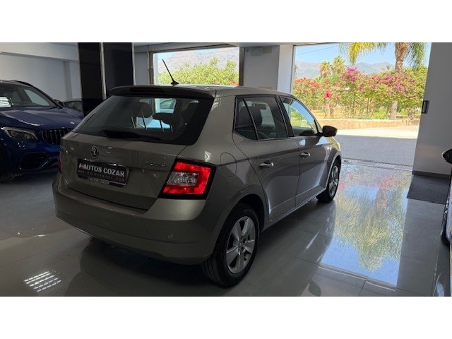 Skoda Fabia 1.4 TDI Ambition 66 kW (90 CV)