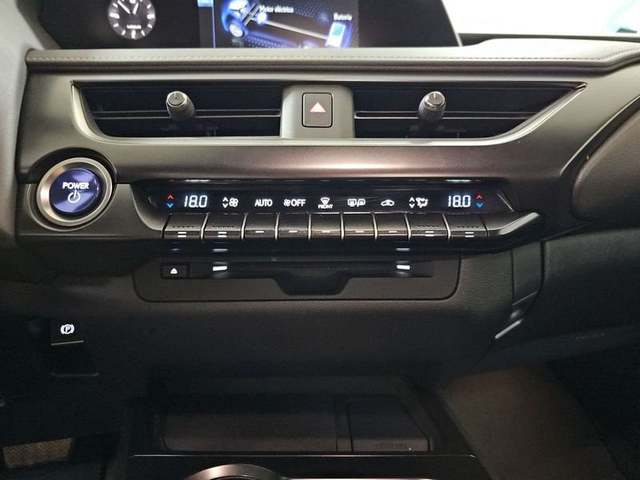 Foto 22 Lexus UX 250h Business 2WD 135 kW (184 CV)