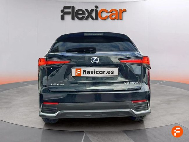 Foto 7 Lexus NX 300h Executive Navigation 145 kW (197 CV)