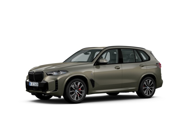 Foto 2 BMW X5 xDrive30d  xLine 219 kW (298 CV)
