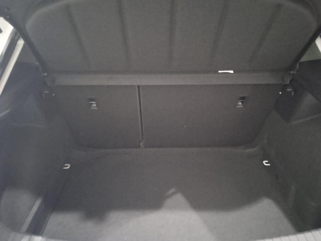 1.5 eTSI S&S Style Special Edition Vision DSG 110 kW (150 CV)