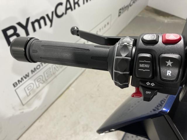 BMW Motorrad CE 04  de ocasión 