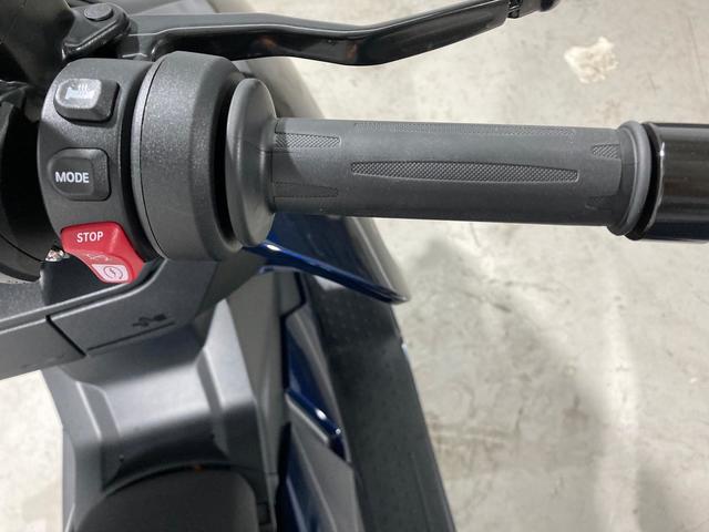 BMW Motorrad CE 04  de ocasión 