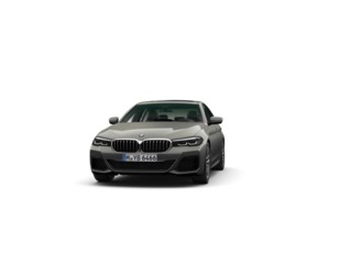 Fotos de BMW Serie 5 520d color Gris. Año 2021. 140KW(190CV). Diésel. En concesionario Enekuri Motor de Vizcaya
