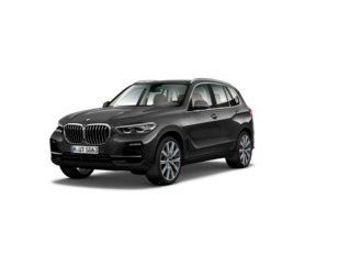Fotos de BMW X5 xDrive30d color Gris oscuro. Año 2021. 210KW(286CV). Diésel. En concesionario Albamocion S.L. ALBACETE de Albacete