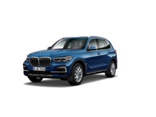 Fotos de BMW X5 xDrive30d color Azul. Año 2019. 195KW(265CV). Diésel. En concesionario BMW Avilcar Ávila de Ávila
