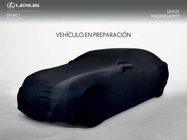 Foto 1 Lexus NX 450h+  F Sport 4WD 225 kW (306 CV)