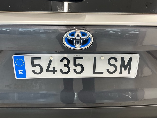 Toyota Rav4 2.5l hybrid Advance 160 kW (218 CV)