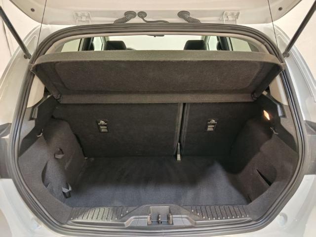 Ford Fiesta 1.0 EcoBoost S&S Active 74 kW (100 CV)