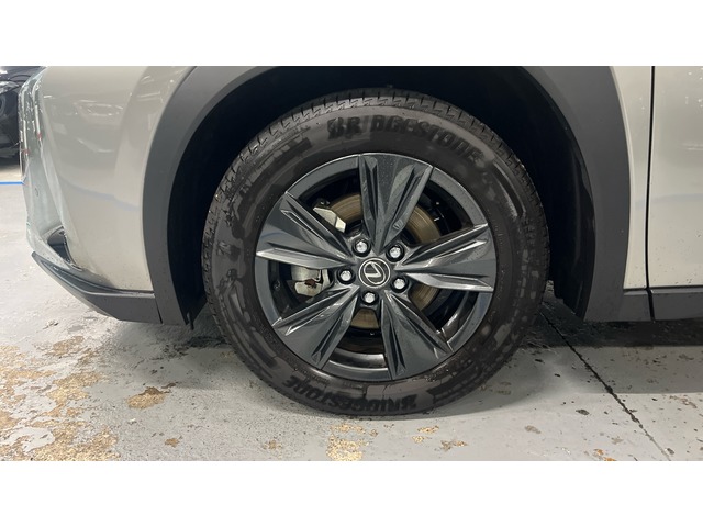 Lexus UX 300h Plus 146 kW (199 CV)