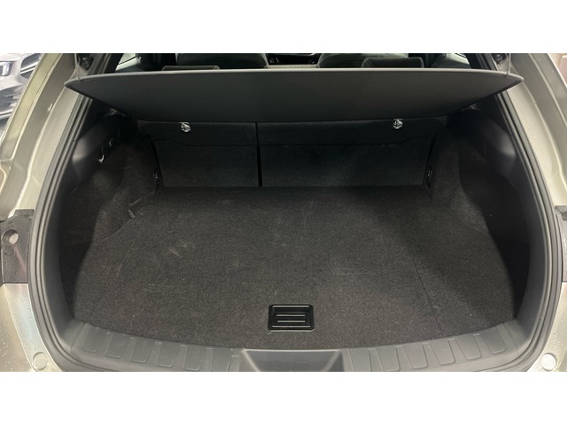 Lexus UX 300h Plus 146 kW (199 CV)