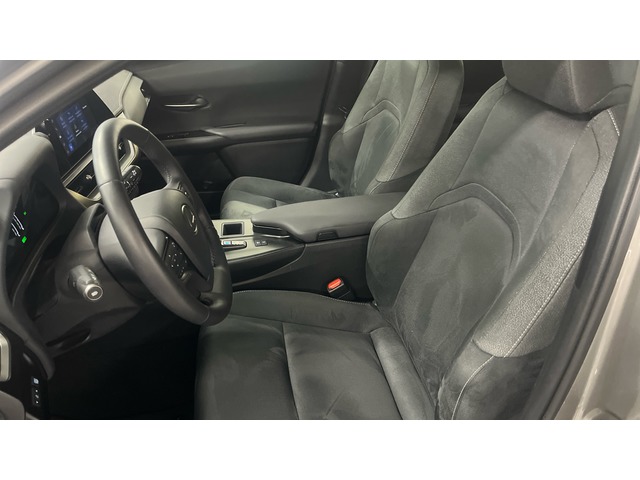 Lexus UX 300h Plus 146 kW (199 CV)