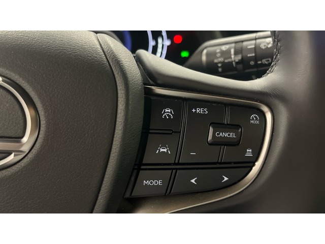 Lexus UX 300h Plus 146 kW (199 CV)