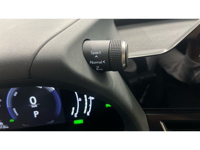 Lexus UX 300h Plus 146 kW (199 CV)