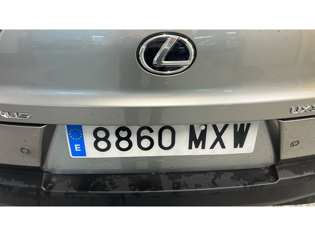 Lexus UX 300h Plus 146 kW (199 CV)
