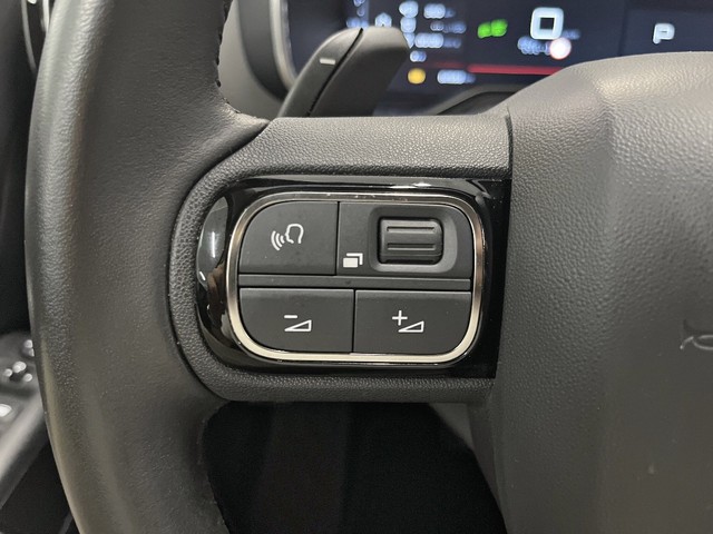 Citroen C5 Aircross BlueHdi 130 S&S C Series EAT8 96 kW (131 CV)