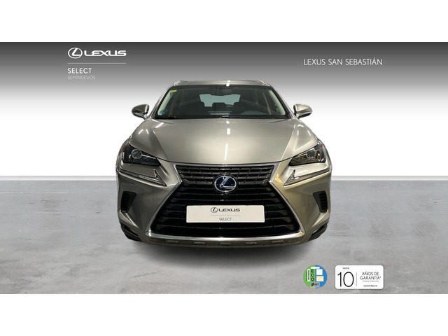 Lexus NX 300h Business Navigation 2WD 145 kW (197 CV)