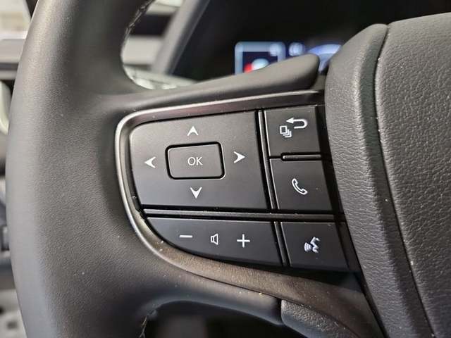 Foto 13 Lexus UX 250h Business 2WD 135 kW (184 CV)