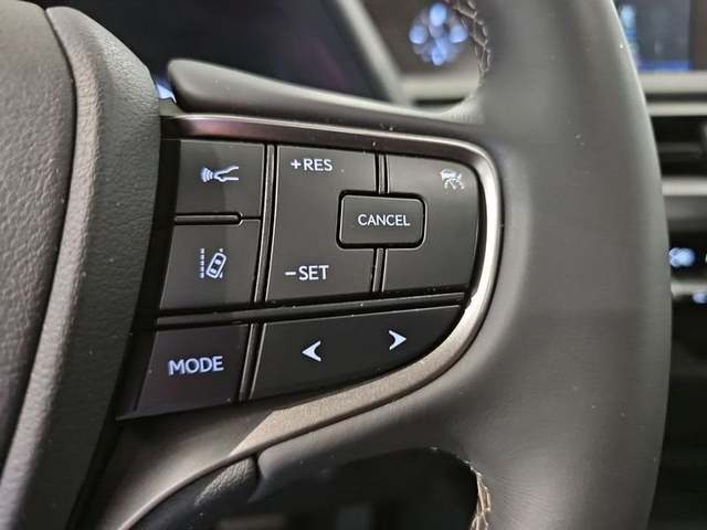 Foto 14 Lexus UX 250h Business 2WD 135 kW (184 CV)