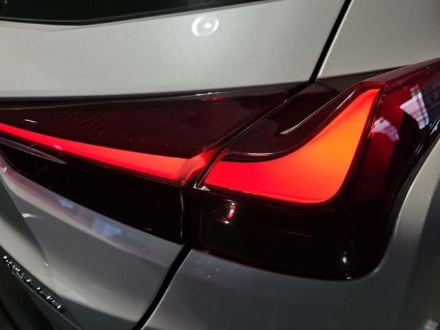 Foto 25 Lexus UX 250h Business 2WD 135 kW (184 CV)