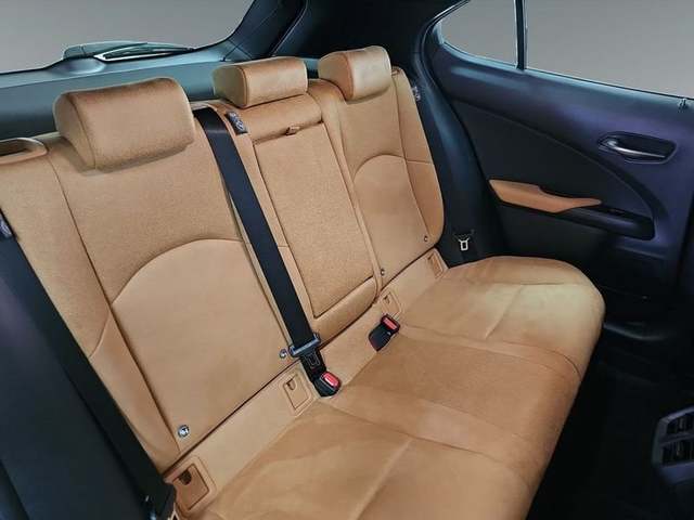 Foto 8 Lexus UX 300h Plus 146 kW (199 CV)