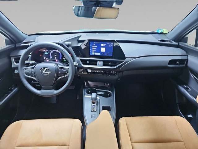 Foto 10 Lexus UX 300h Plus 146 kW (199 CV)