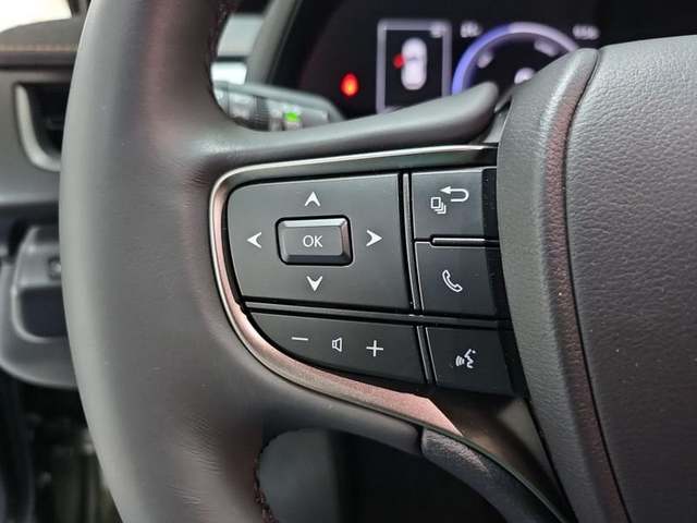 Foto 12 Lexus UX 300h Plus 146 kW (199 CV)