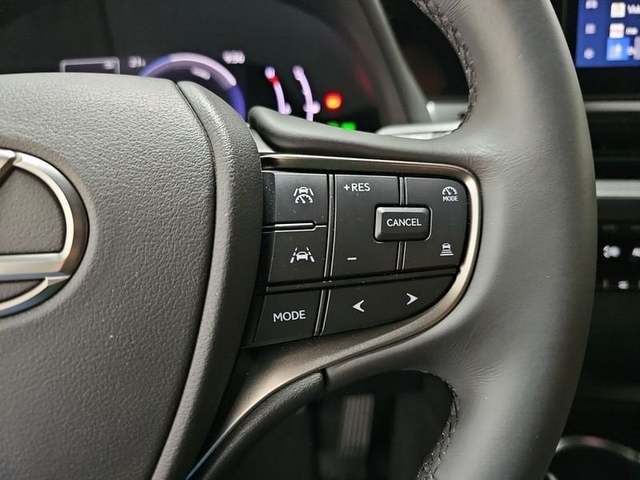 Foto 13 Lexus UX 300h Plus 146 kW (199 CV)