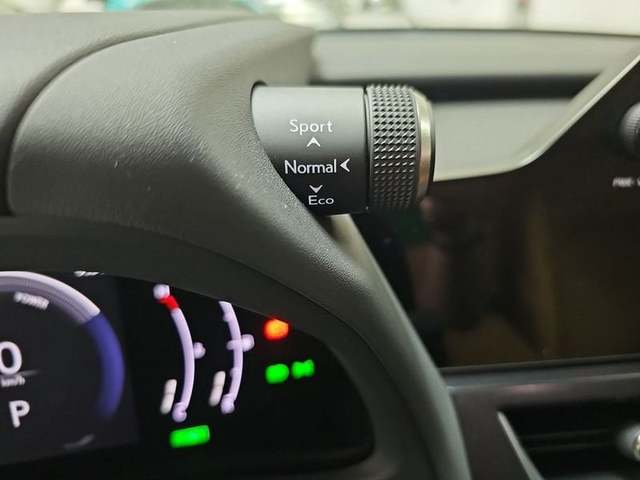 Foto 16 Lexus UX 300h Plus 146 kW (199 CV)