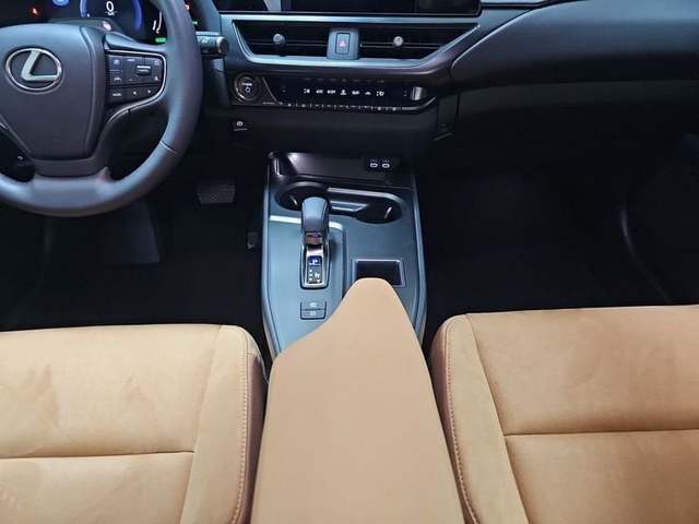 Foto 19 Lexus UX 300h Plus 146 kW (199 CV)