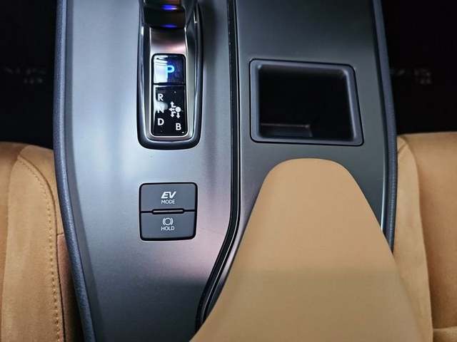 Foto 21 Lexus UX 300h Plus 146 kW (199 CV)