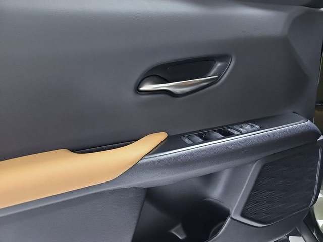 Foto 22 Lexus UX 300h Plus 146 kW (199 CV)