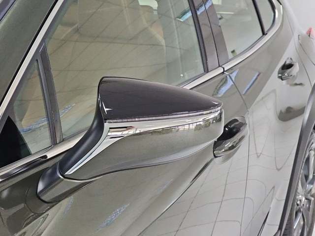 Foto 26 Lexus UX 300h Plus 146 kW (199 CV)