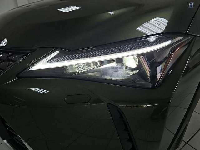 Foto 28 Lexus UX 300h Plus 146 kW (199 CV)