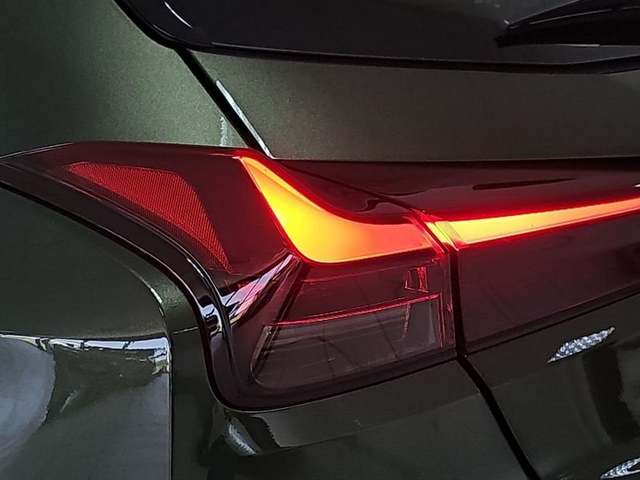 Foto 29 Lexus UX 300h Plus 146 kW (199 CV)