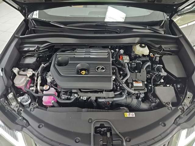 Foto 31 Lexus UX 300h Plus 146 kW (199 CV)