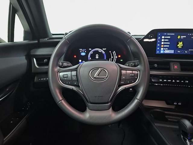 Foto 15 Lexus UX 300h Plus 146 kW (199 CV)