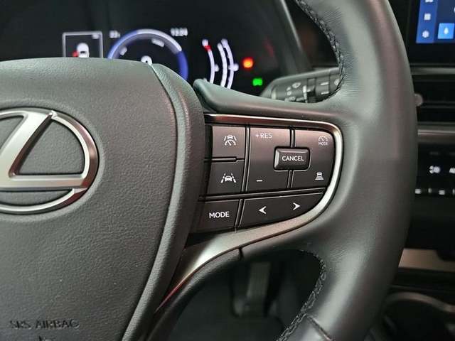 Foto 17 Lexus UX 300h Plus 146 kW (199 CV)