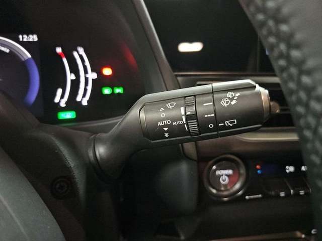 Foto 19 Lexus UX 300h Plus 146 kW (199 CV)