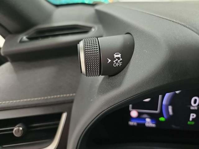 Foto 20 Lexus UX 300h Plus 146 kW (199 CV)