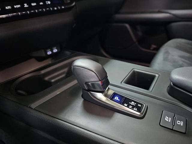 Foto 30 Lexus UX 300h Plus 146 kW (199 CV)