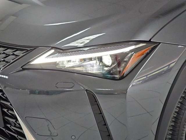 Foto 38 Lexus UX 300h Plus 146 kW (199 CV)